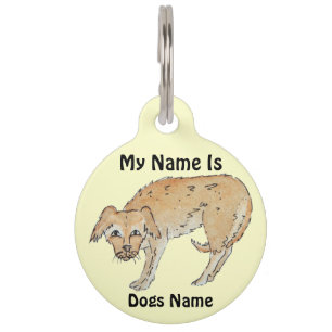 Médaillon Pour Animaux photo du chien de race mixte garni