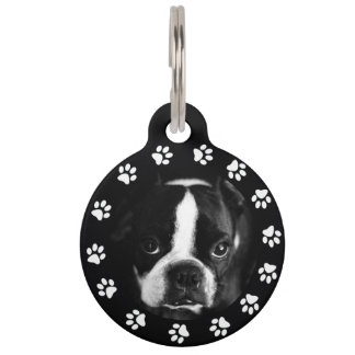 Médaillon Pour Animaux Photo et numéro d'identification du chien d'animal