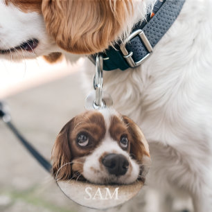 Médaillon Pour Animaux Photo et texte personnalisés
