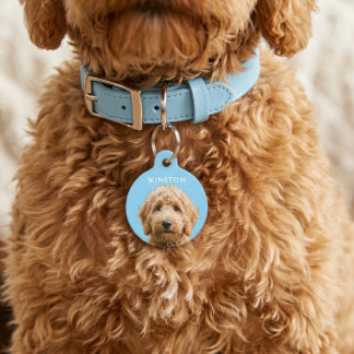 Médaillon Pour Animaux Photo Personnalisé Nom de Chien - LIRE LA DESCRIPT