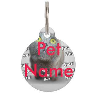 Médaillon Pour Animaux Photo PET ✨ Lovely Custom