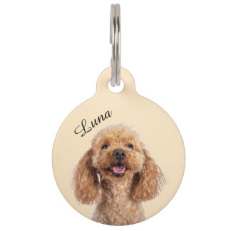 Médaillon Pour Animaux Placa para Mascotas Personalizada | Chapita Editab