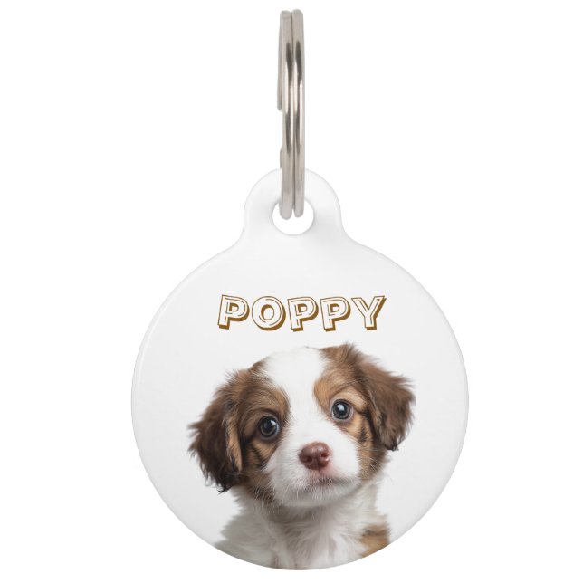 Médaillon Pour Animaux Plaque de chien personnalisée avec photo et nom (Devant)