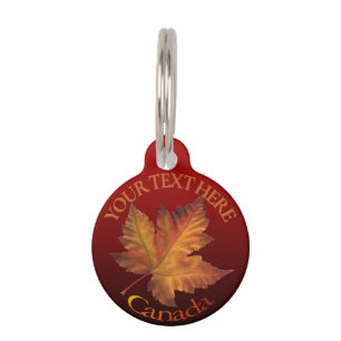 Médaillon Pour Animaux Plaque d'identification personnalisée pour animaux