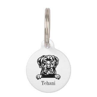 Médaillon Pour Animaux plaque personnalisée avec nom pour chien cane cors