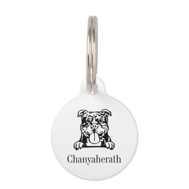 Médaillon Pour Animaux plaques de nom personnalisées pour chien american  (Devant)