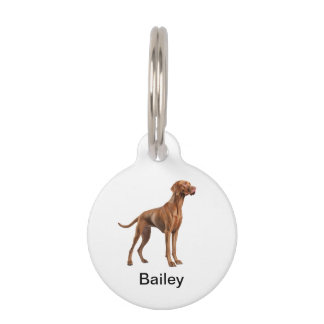 Médaillon Pour Animaux Plaques d'identification pour chien avec monogramm