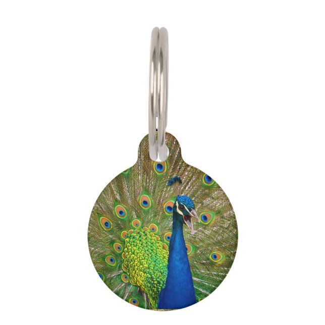Médaillon Pour Animaux Plumage parfait de paon (Devant)