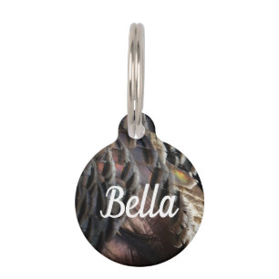 Médaillon Pour Animaux Plumes de Dindon Sauvage I Design Abstrait de la N