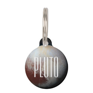 Médaillon Pour Animaux Pluto