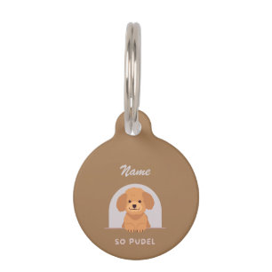 Médaillon Pour Animaux Poodle Chien Animaux de compagnie Aimer Paw Animau