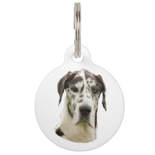 Médaillon Pour Animaux Portrait d'animal de compagnie Harlequin Great Dan