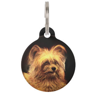 Médaillon Pour Animaux PORTRAITS DE CHIEN DE MINIATURE VICTORIENNE Skye T