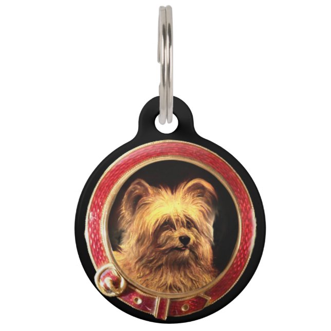 Médaillon Pour Animaux PORTRAITS DE CHIEN DE MINIATURE VICTORIENNE Skye T (Devant)