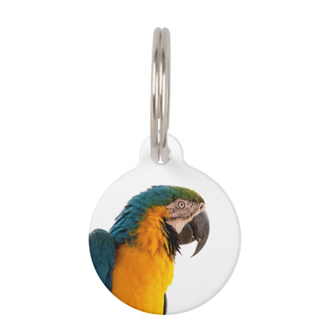 Médaillon Pour Animaux Post-it Notes perroquet (Devant)