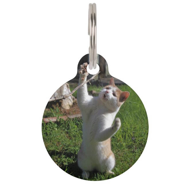 Médaillon Pour Animaux Prédateur féroce (Devant)