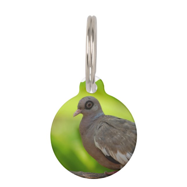 Médaillon Pour Animaux Produit de personnaliser (Devant)
