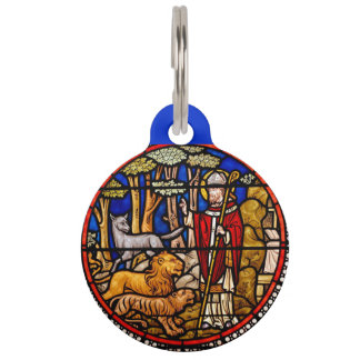Médaillon Pour Animaux Protecteur d'animaux St. Francis Bleu