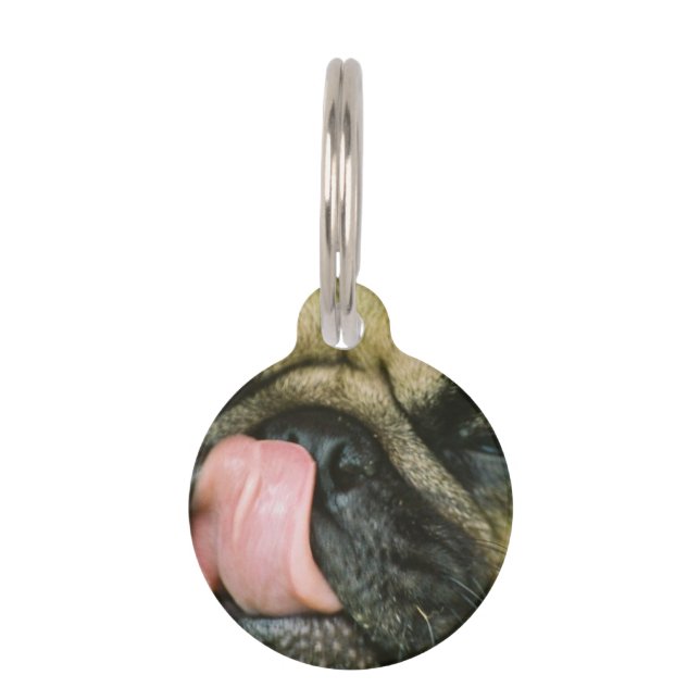Médaillon Pour Animaux Pugalicious (Devant)