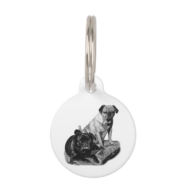 Médaillon Pour Animaux Pugs d'identité, look ombré (Devant)