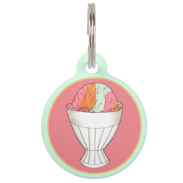 Médaillon Pour Animaux Rainbow Sherbet crème glacée Sorbet Dessert Scoop (Devant)
