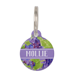 Médaillon Pour Animaux Raisins botaniques Aquarelle Nom et adresse