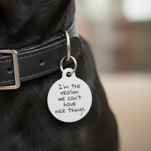 Médaillon Pour Animaux Raison pour laquelle nous ne pouvons pas avoir de  (Créateur téléchargé)