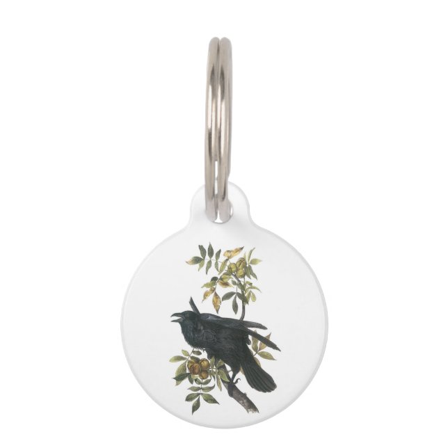 Médaillon Pour Animaux Raven commun par Audubon (Devant)