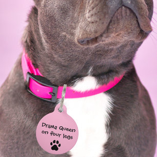 Médaillon Pour Animaux Reine de Drame Animal de Compagnie sur quatre patt
