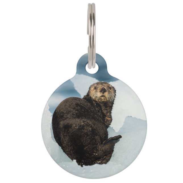 Médaillon Pour Animaux Remise de la Loure de mer (Devant)