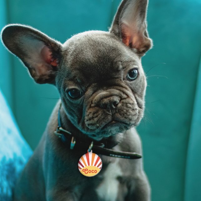 Médaillon Pour Animaux Retro Sunset Sun Rays Nom personnalisé (Créateur téléchargé)