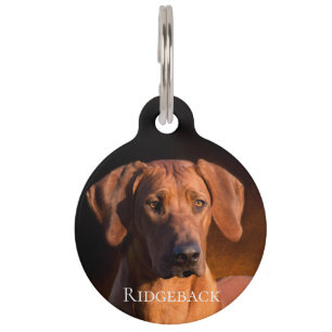 Médaillon Pour Animaux Rhodesian Ridgeback