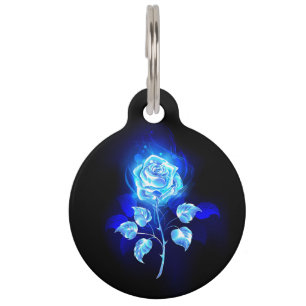 Médaillon Pour Animaux Rose bleu brûlant
