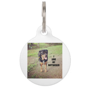 Médaillon Pour Animaux rottweiler love w pic tan