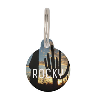 Médaillon Pour Animaux Saguaro Sunset II Arizona