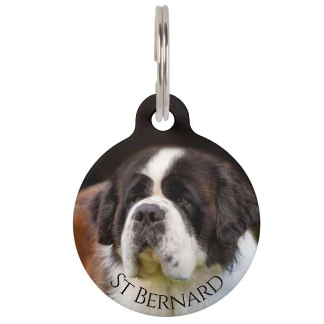 Médaillon Pour Animaux Saint Bernard (Devant)