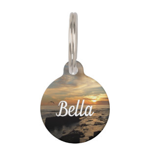 Médaillon Pour Animaux San Diego Sunset
