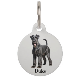 Médaillon Pour Animaux Schnauzer géant personnalisé