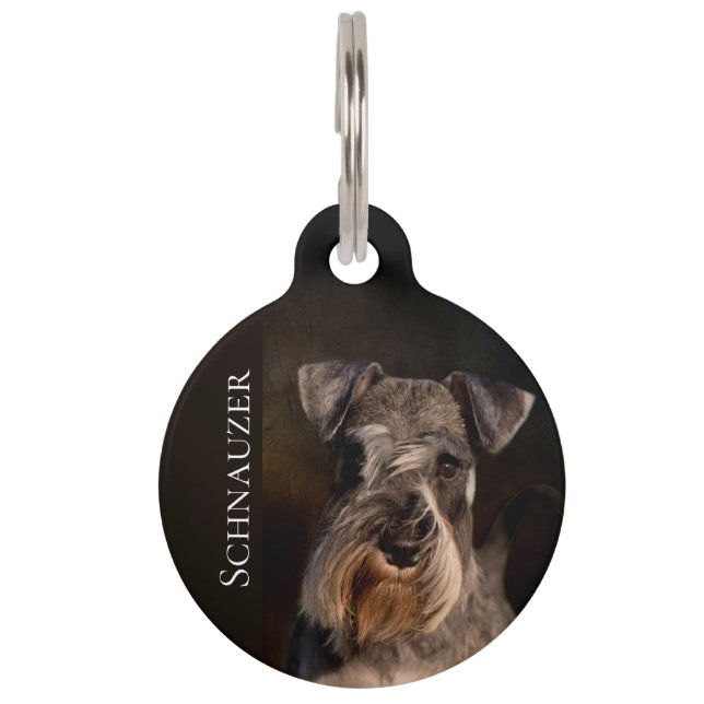 Médaillon Pour Animaux Schnauzer miniature (Devant)