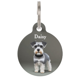 Médaillon Pour Animaux Schnauzer Nain Personnalisé