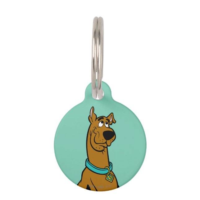 Médaillon Pour Animaux Scooby Doo Chiot Yeux (Devant)