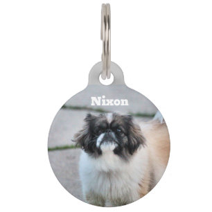Médaillon Pour Animaux Shih Tzu
