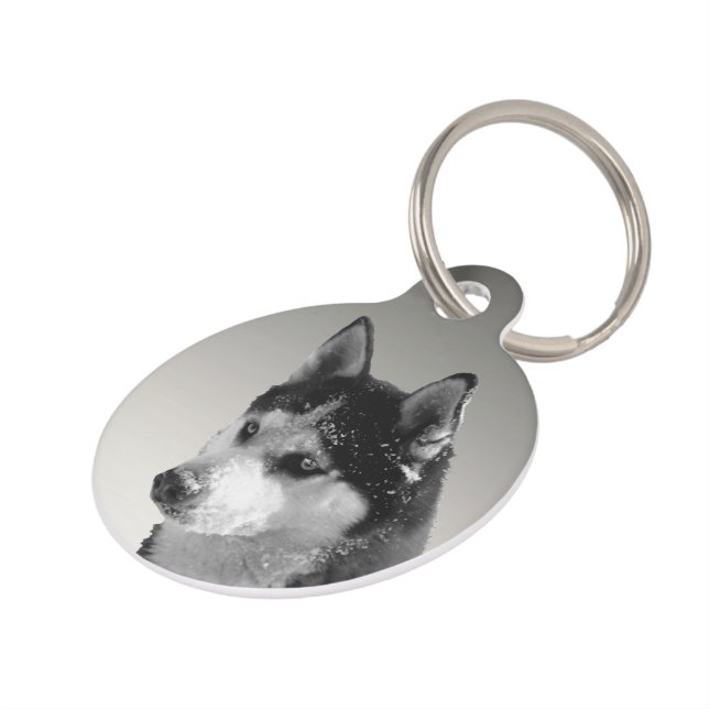 Médaillon Pour Animaux Siberian Husky Huskybild (Côté )