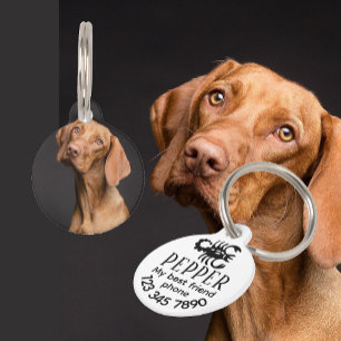Médaillon Pour Animaux Signe du zodiaque avec photo personnalisée moderne