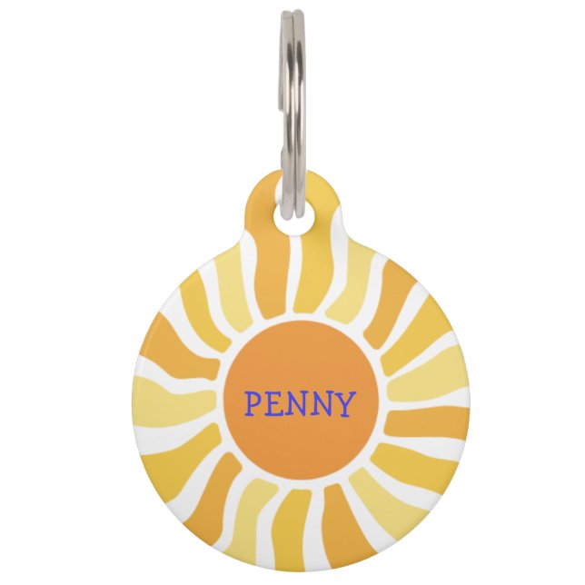 Médaillon Pour Animaux Soleil Rétro Personnalisé (Devant)