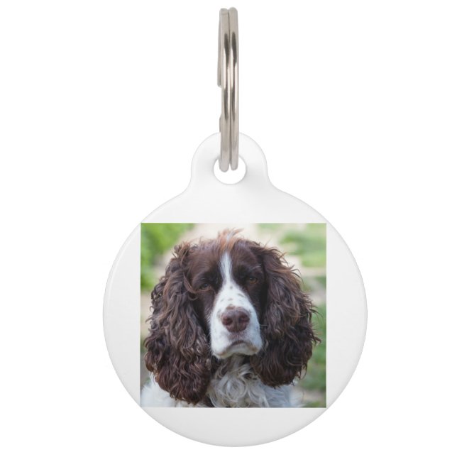Médaillon Pour Animaux spaniel de springer anglais.png (Devant)