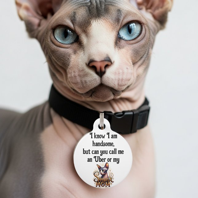 Médaillon Pour Animaux Sphynx Cat Funny  (Funny Cat ID tag sphynx cats)