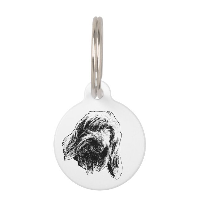 Médaillon Pour Animaux Spinone Marcheur Régulier (Devant)