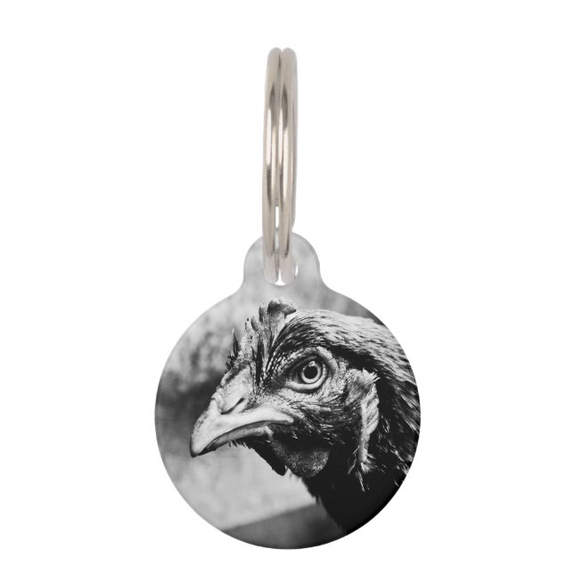 Médaillon Pour Animaux spiritueux et poulets (Devant)