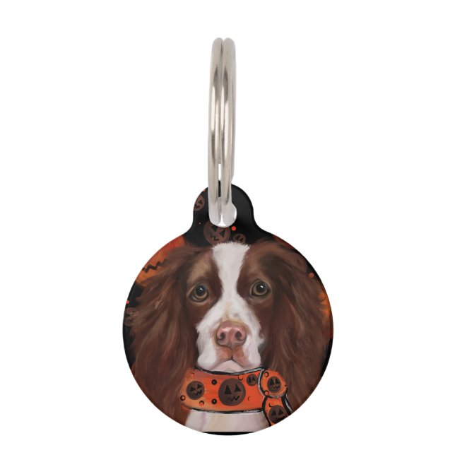 Médaillon Pour Animaux Springer Spaniel Anglais        (Devant)